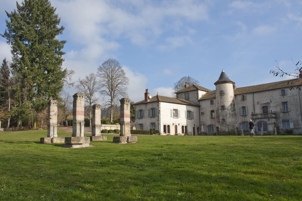 Chateau De Chantelauze Olliergues Exterior foto
